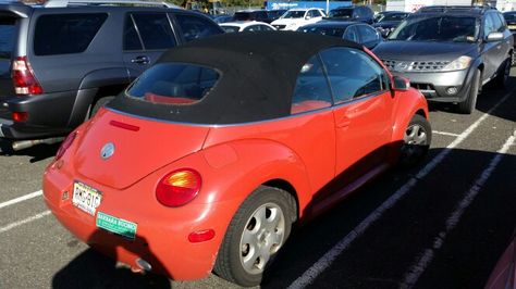 2003 VW Beetle convertible in Sundown Orange Vw Beetle Convertible, Volkswagen Beetles, Beetle Car, Beetle Convertible, Orange Crush, Vw Beetle, Vw Beetles, Volkswagen Beetle, Beetles