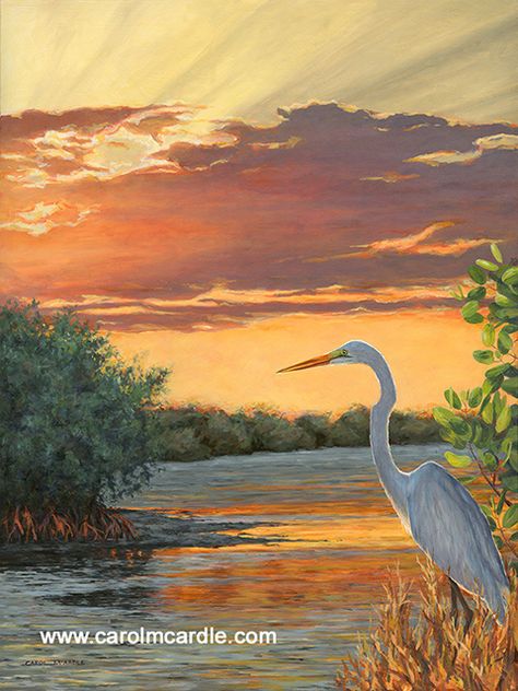 Carol McArdle's newest paintings Paintings Beach, Wild Birds Photography, Grape Painting, Florida Landscape, Heron Art, Beach Paintings, Beauty Paintings, Tropical Painting, Bird Paintings