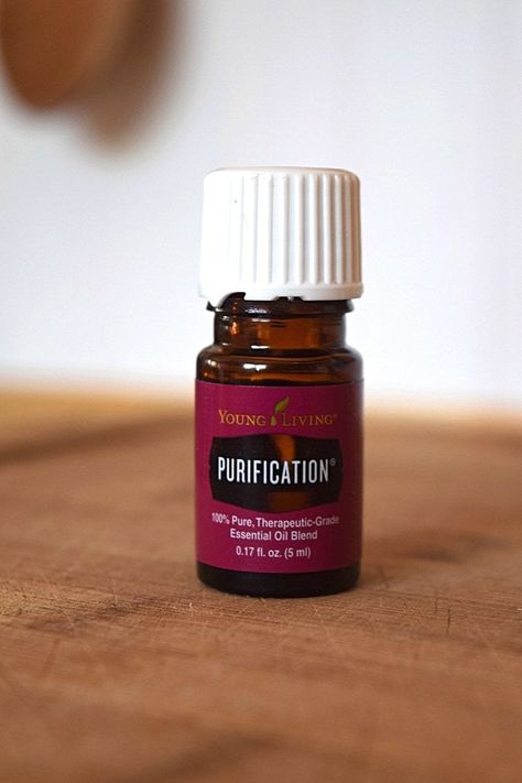 Looking for more information on young living Purification essential oil? We have you covered with everything you need to know from purification oil uses to how to use it. Young Living Purification, Purification Oil, Purification Essential Oil, Oil Uses, Young Living, Ancient Greek, Essential Oil Blends, Oil Blend, Essential Oil