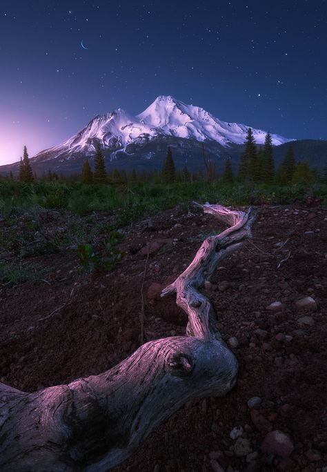 Shasta California, Mt Shasta, Mount Shasta, Photo Mount, Old Images, Beautiful Mountains, Landscape Photographers, Fantasy Landscape, Wonderful Places