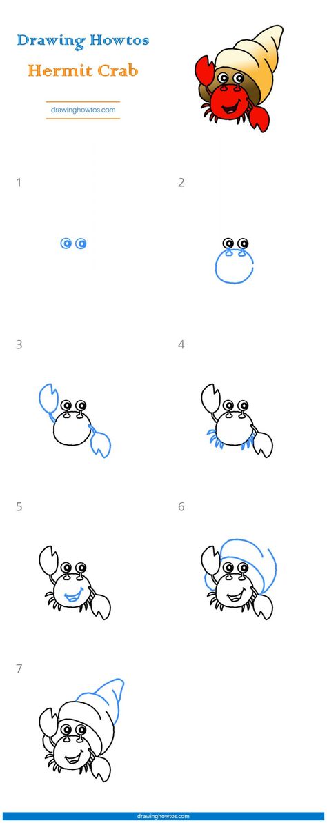 How To Draw A Crab Easy, How To Draw A Hermit Crab, Hermit Crab Doodle, Hermit Crab Drawing Simple, Hermit Crab Drawing, Easy Drawing Guides, Beach Drawing, Crab Print, Drawing Guides