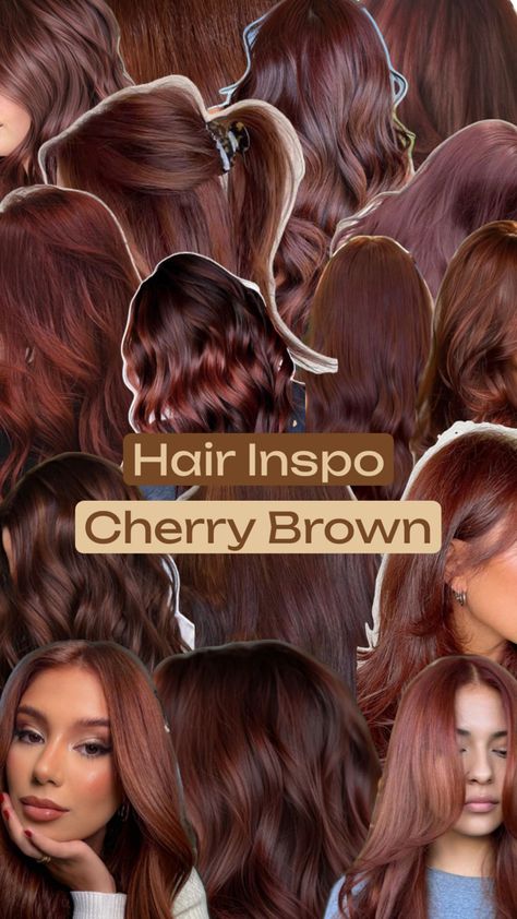 Inspiration for Cherry Brown Hair Colour Red Hair On Brown Skin, Cherry Brown Hair, Cherry Cola Hair Color, Brown Hair Colour, Cherry Cola Hair, Cherry Hair Colors, Hair Color Asian, Cherry Brown, Cherry Hair