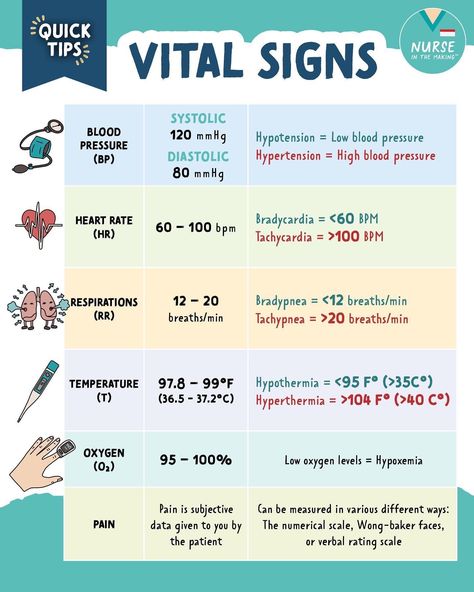 Ekg Study Guide, Lvn School Essentials, Clinical Nurse Educator, Emt Study Notes, Lvn Notes, Cna Notes Nursing Students, Medical Surgical Nursing Notes, Emt Flashcards, Nursing Notes Organization