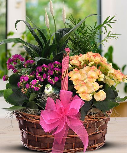 Basket Plant Arrangements, June Decorations, Garden Baskets, Basket Flower Arrangements, Garden Basket, Aesthetic Garden, Dish Garden, Wooden Basket, Easy Landscaping