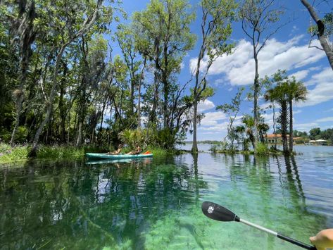 Kayaking Around Three Sisters Springs in Crystal River, Florida Swimming With Manatees, Crystal River Florida, River Kayaking, Fishing Dock, Spring Park, Clear Blue Water, Full Time Travel, 3 Sisters, Crystal River