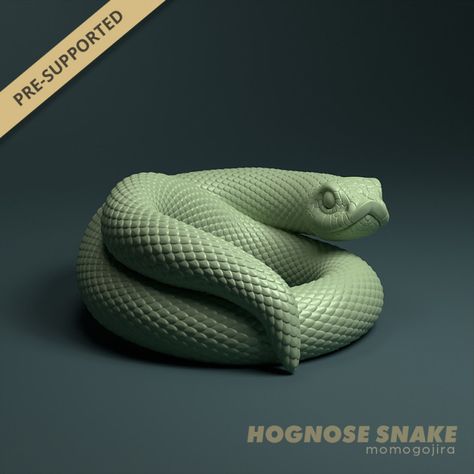 A detailed model of a hognose snake. Sculpted in a way that you can put it around your finger, pens etc! Download STL files for 3D printing at home. Pre-supported and ready to go! Snake Standing Up, 3d Snake Wallpaper, Snake Top View, 3d Snake, 3d Snake On Canvas, Hognose Snake, 3d Printing