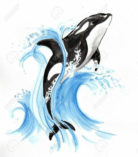 Orca Jumping Out Of Water, Orca Jumping, Killer Whale Tattoo, Orca Art, Whale Pictures, Orca Tattoo, Whale Drawing, Whale Illustration, Whale Painting