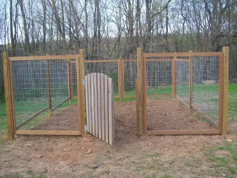 Fence for our Vegetable Garden | Farmer's Daughter Temporary Fence For Dogs, Hog Wire Fence, Diy Dog Fence, Cheap Garden Fencing, Chicken Wire Fence, Chicken Fence, Fenced Vegetable Garden, Fence Options, Deer Fence