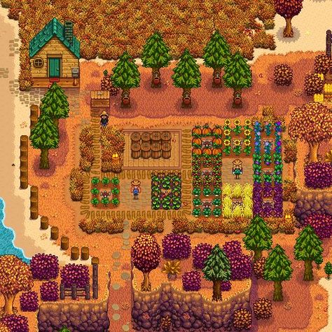 Stardew Valley Beach Farm Beach Farm Layout, Beach Farm, Stardew Valley Layout, Stardew Valley Farms, Farm Layout, Year 1, Stardew Valley, City Photo, The Beach