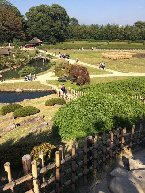 Korakuen Garden, Okayama, Online Tickets, Trip Advisor, No 1, Garden Design, Golf Courses, Dolores Park, Need To Know