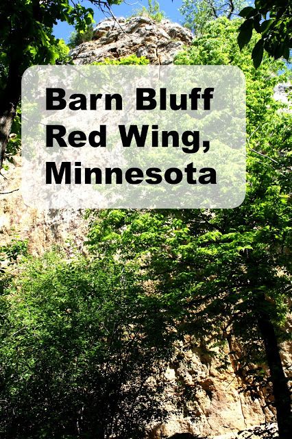 Barn Bluff in Red Wing, Minnesota Red Wing Mn Minnesota, Minnesota Hiking, Red Wing Mn, Beautiful America, Red Wing Minnesota, Minnesota Travel, Mobile Living, Midwest Travel, Forest View