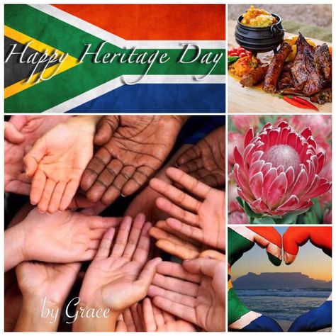 Heritage Day - South Africa  🇿🇦 Heritage Day South Africa Posters, South African Heritage Day, Heritage Day South Africa, South African Heritage, Heritage Day, Birthday Wishes Greetings, African Heritage, Golden Oldies, Biscuit Cookies