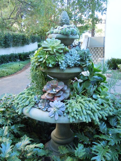 Succulent planted fountain. #Planting #Ideas RealPalmTrees.com #palmtrees #creative #GreatView Succulent Gardening, Succulents In Containers, Garden Fountain, Garden Containers, Garden Fountains, Cactus Y Suculentas, Fairy House, Succulents Garden, Dream Garden