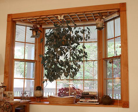 Bay Window Garden, Bay Windows Ideas, Bay Window Decor, Windows Ideas, Luxury Windows, Window Garden, Plant Window, Window Stained, Plant Hanging