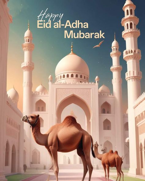 Happy Eid Ul Adha Mubarak ✨ Happy Eid Ul Adha, Eid Ul Adha Mubarak, Happy Eid Al Adha, Adha Mubarak, Eid Al-adha Mubarak, Eid Ul Adha, Happy Eid, Eid Al Adha, Eid Mubarak