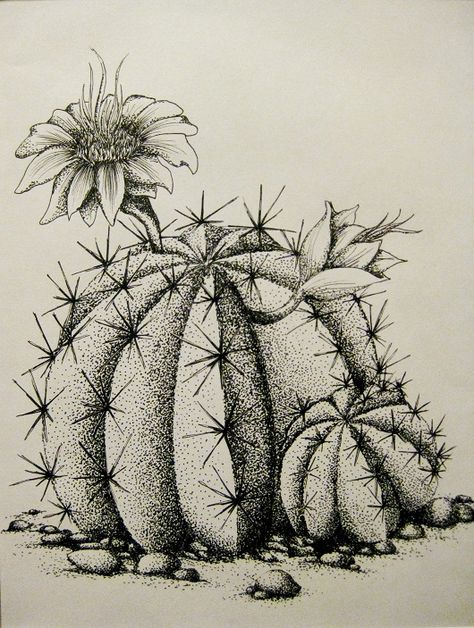 Ink stippling cactus Cactus Ink Drawing, Cacti Sketch, Stippling Drawing Ideas, Cacti Drawing, Desert Drawings, Stippling Illustration, Cactus Drawings, Cactus Sketch, Desert Drawing