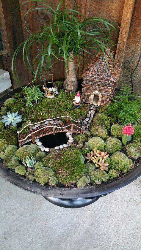 Micro Garden Ideas, Miniature Gardens Design Ideas, Plant Pot Painting Ideas, Plant Pot Painting, Mini Garden Decor, Fairy Garden Box, Pot Painting Ideas, Large Fairy Garden, Miniature Garden Design