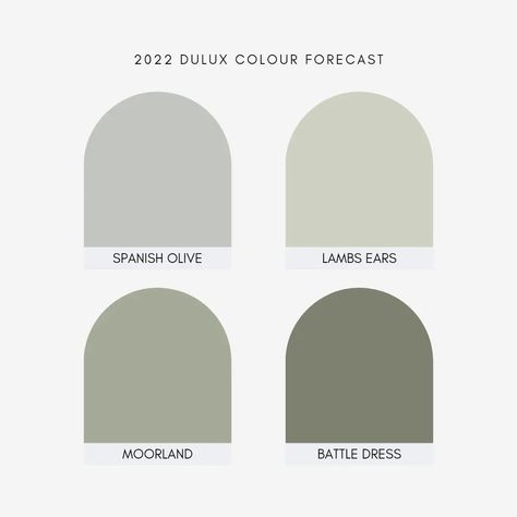 Samantha | interior designer on Instagram: “D U L U X F O R E C A S T 🌈 Greens are in and they're going to be sticking around for a while, especially with these beautiful colours…” Trending Kitchen Design, Dulux Green Paint, Dulux Exterior Paint Colours, Dulux Colour Schemes, Coastal Color Palette, Spanish Home Decor, Spanish Olives, Sage Green Bedroom, Dulux Paint