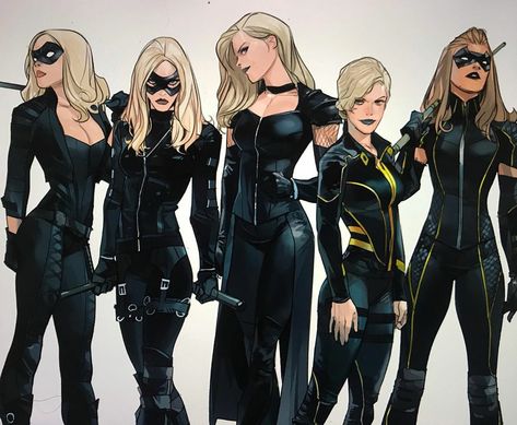 Red Canary, Dinah Lance, Dinah Laurel Lance, Arrow Black Canary, Otto Schmidt, Superhero Suits, Bruce Timm, Arte Dc Comics, Dc Art