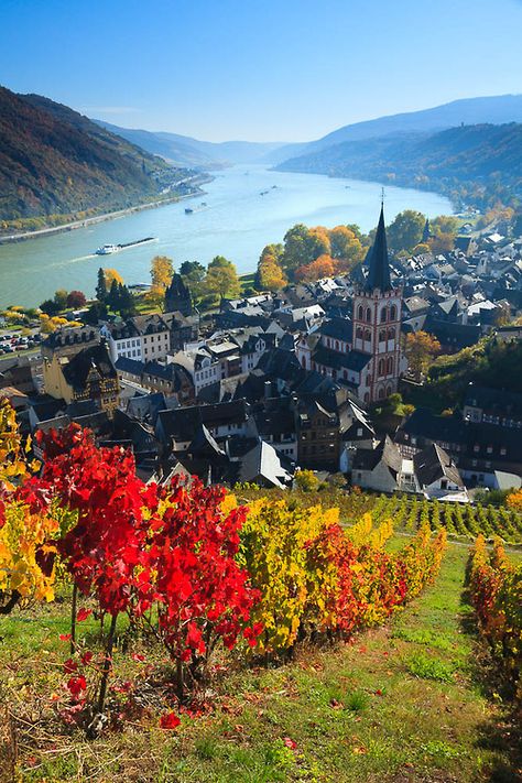 Bacharach Germany, Rhineland Palatinate, Visit Germany, Rhine River, Voyage Europe, Germany Travel, Places Around The World, Aerial View, Vacation Spots