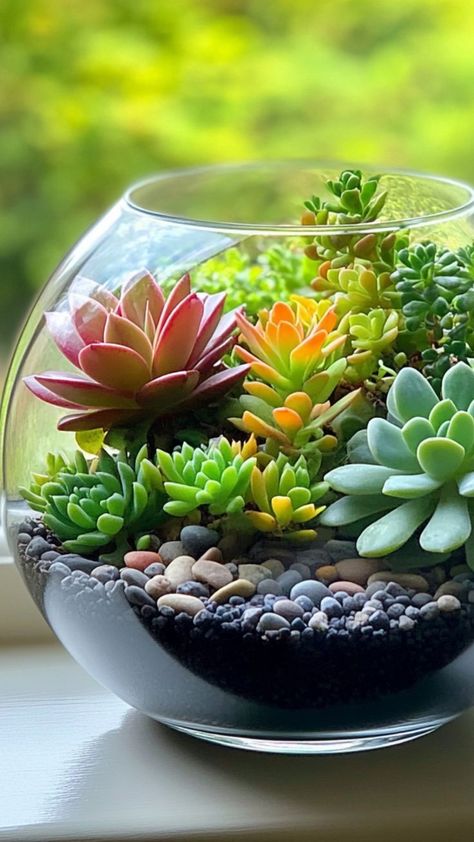 Bring the beauty of nature indoors with a DIY succulent terrarium! This simple, fun project allows you to create a stunning mini garden using succulents, rocks, and decorative elements. Perfect for beginners or plant lovers, this terrarium adds a touch of greenery and style to any room. 🌿🪴 #DIYSucculentTerrarium #IndoorGardening #EcoFriendlyDecor #SucculentLovers Simple Terrarium, Cozy Cottage Interiors, Vintage Rustic Wedding Decor, Succulent Terrariums, Diy Succulent Terrarium, 3d Butterfly Wall Stickers, Perfect Bedding, Butterfly Wall Stickers, Eco Friendly Decor