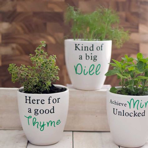 Cute Diy Flower Pots, Cricut Terra Cotta Pot, Diy Cute Planters, Cricut Flower Pots, Plant Pots With Sayings, Flower Pot Cricut Ideas, Plant Cricut Projects, Cricut Planter Ideas, Flower Pot Sayings