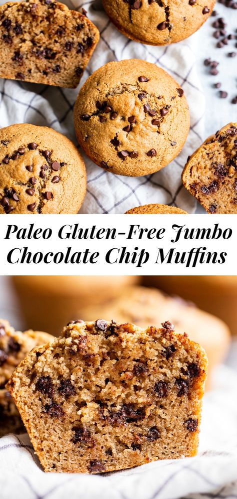 Jumbo Chocolate Chip Muffins, Paleo Chocolate Chip Muffins, Almond Flour Pumpkin Muffins, Paleo Muffin Recipes, Almond Flour Pumpkin, Best Chocolate Chip Muffins, Pumpkin Spice Blend, Craving Tasty, Vegan Banana Muffins