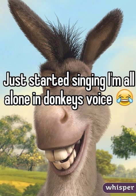 26 Anonymous People Confess Things They Do When They're Alone American Flag Pictures, Shrek Funny, Shrek Donkey, Chicken Nugget, Creepy Tattoos, Art Tools Drawing, Weird Things, Favorite Cartoon Character, Donkeys