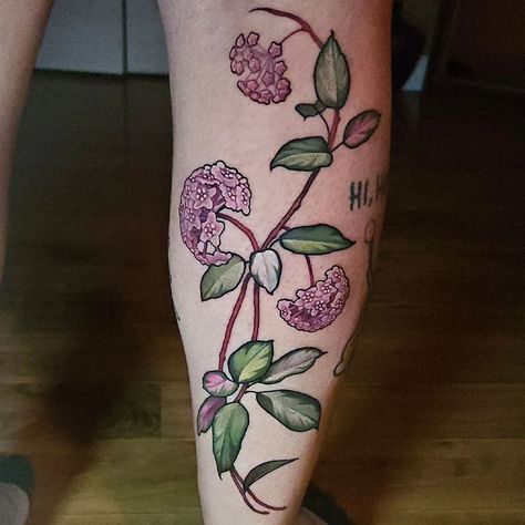 Trailing beauty of pink hoyas! Stunning and intricate details on the leaves and flowers @katarina.heinze! ⁠ ✨ ⁠ ⁠ "Some Hoyas! I love these flowers, always looked like candy to me!" - Katja⁠ ⁠ #floraltattoo #calftattoo #floral #naturetattoo #hoya #hoyatattoo #yxetattoo #saskatoontattoo #mamatriedtattoo #mamatriedyxe Hoya Tattoo, Illustrative Tattoos, Mama Tried, Floral Tattoos, Calf Tattoo, Neo Traditional, Nature Tattoos, Forearm Tattoo, Best Tattoo