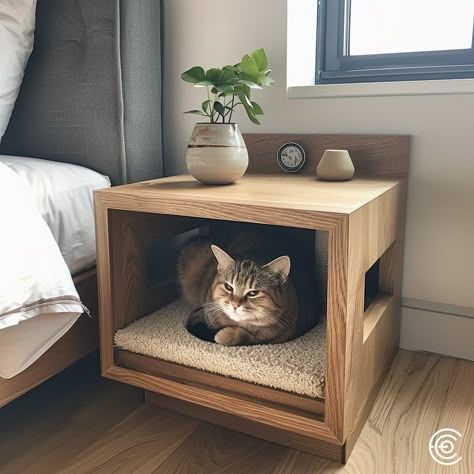 Timeless Interior Design, Acrylic Coffee Table, Timeless Interior, New Interior Design, Top Furniture, Cat Scratching Post, Furniture Trends, Sustainable Furniture, Scratching Post