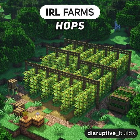 Graden Idea Minecraft, Minecraft Compound Ideas, Minecraft Farms Aesthetic, Farm Minecraft Aesthetic, Mincraft Farms Ideas, Minecraft Nether Wart Farm Design, Minecraft Dock Design Aesthetic, Minecraft Field Ideas, Minecraft Potato