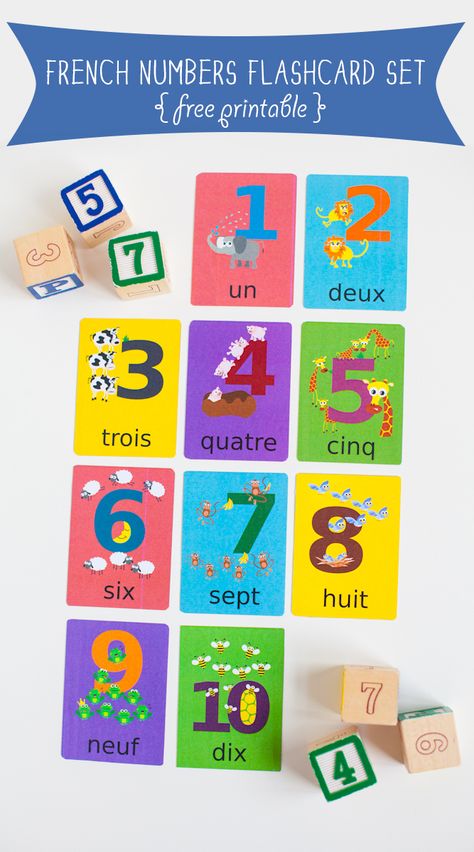 Looking for an easy way to get started in learning French? Download these French Numbers Flashcards to help you count- un, deux, tois! Chinese Numbers, Croatian Language, Chinese Flashcards, Learn Vietnamese, French Numbers, Spanish Numbers, Learn Polish, Vietnamese Language, Number Flashcards