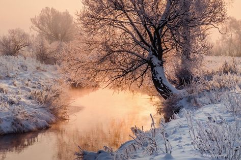 Landscape Photography Horizontal, Photography Horizontal, Winter Landscape Photography, Horizontal Landscape, Winter Morning, Winter Mornings, Landscape Art Painting, Picture Story, Snow Scenes