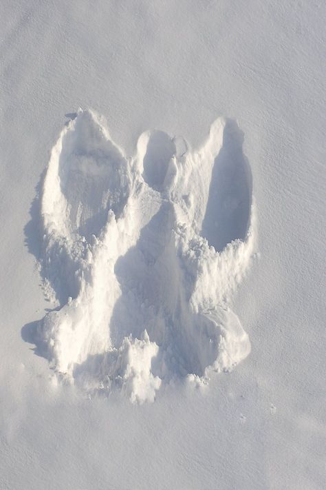 Winters Tale, Weeping Angels, Snow Pictures, Aesthetic Vsco, Snow Angel, I Love Winter, Angel Aesthetic, Christmas Inspo, Snow Angels