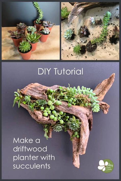 Houseplant Diy, Cactus Arrangements, Succulent Projects, Creative Planters, Driftwood Planters, Planters Indoor, Planters Diy, Diy Driftwood, Succulent Planter Diy