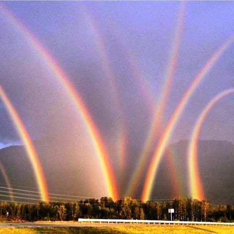 Eight rainbows coincide in the sky of Lehigh County, Pennsylvania Rainbows In The Sky, Rainbow Photography Nature, Desert Aesthetic, Rainbow Photography, God's Promise, Rainbow Sky, The Mist, Beautiful Rainbow, Over The Rainbow