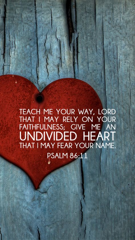 Psalm 86, Just Pray, Life Quotes Love, Favorite Bible Verses, Scripture Quotes, Verse Quotes, Scripture Verses, Bible Verses Quotes, Bible Scriptures