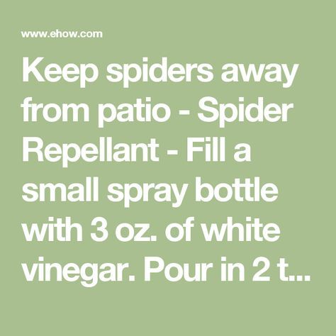 Spiders Repellent Diy, Spider Prevention, Spider Repellant, Natural Spider Repellant, Spider Repellent, Spider Spray, Repellent Diy, Small Spray Bottle, Spiders Repellent