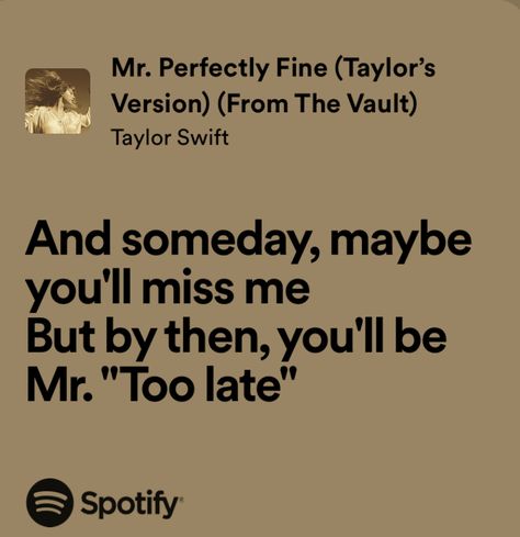 Mr Perfectly Fine Taylor Swift Lyrics, Mr Perfectly Fine Taylor Swift, My Life Doll Stuff, Mr Perfectly Fine, Swift Concert, Swift Lyrics, Spotify Playlists, Anime Pfps, Taylor Swift Concert