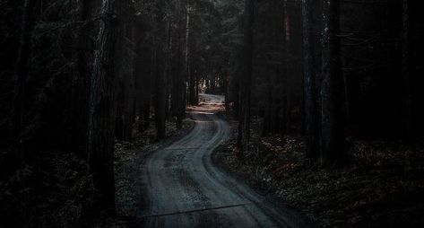 "Walking Each Other Home" | Literary Hub Forest Wallpaper Iphone, Ed Wallpaper, Nature Desktop, Dark Background Wallpaper, 4k Wallpapers For Pc, Rain Wallpapers, Dark Nature, Nature Background Images, Dark Nature Aesthetic