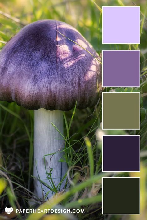 This purple and green mushroom inspired color palette is part of the Mushroom Magic Collection-- perfect for color combos to inspire your next design project, wedding colors, interior design, branding, & more! View hundreds of expertly designed color palettes on our blog! #colorpalette #colorscheme #color #colourpalette #colorinspiration #interiordesign #graphicdesign #weddingcolors #interiordesign #branding #design #fashion #hexcode #mushroom #fungi #purple #green Mushroom Magic, Green Mushroom, Color Design Inspiration, Purple Color Palettes, Forest Color, Color Schemes Colour Palettes, Nature Color Palette, Mushroom Fungi, Green Colour Palette