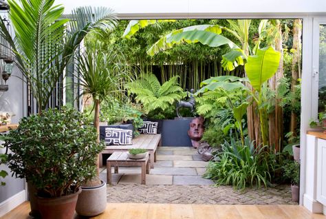 Garden Ideas Uk, Small Tropical Gardens, Hampton Court Flower Show, Small Urban Garden, Small City Garden, Tropical Garden Design, Small Courtyard Gardens, Jungle Gardens, London Garden