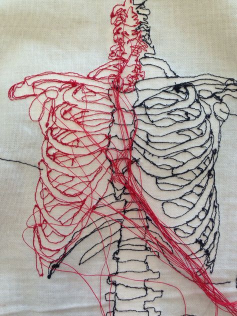 Rib Cage Drawing, Anatomy For Artists, A Level Art, Rib Cage, Embroidery Thread, Art Classes, 3d Art, Anatomy, Skeleton