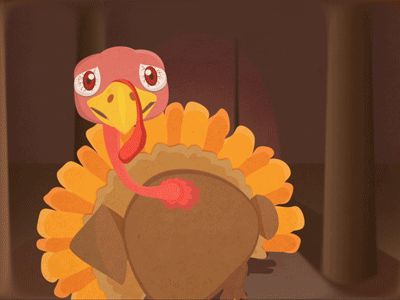 New trending GIF on Giphy Turkey Gif, 2d Character Design, Animation Inspiration, 2d Character, Animation Design, Pittsburgh Pa, Thanksgiving Turkey, 3d Animation, Motion Graphics