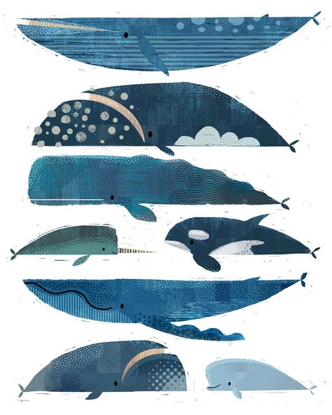 Shark Illustration, Whale Drawing, Sea Artwork, Whale Illustration, Whale Pattern, Whale Art, In Other Words, Marine Mammals, Fairytale Art