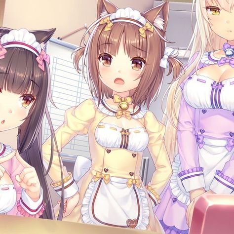 Nekopara Coconut And Azuki, Azuki Nekopara, Nekopara Azuki, Maple Nekopara, Nekopara Pfp, Coconut Nekopara, Nekopara Icons, Sonico Figure, Moe Artstyle