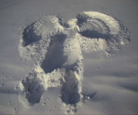 Footprints In The Snow, I Smell Snow, Snow Angel, I Love Winter, Aesthetic Winter, Winter Ideas, Snow Angels, Winter Vibes, Best Seasons