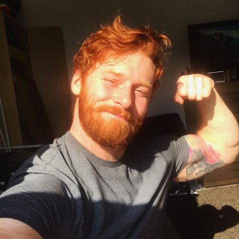 Grey Bearded Men, Beard Images, Ginger Man, Redhead Men, Ginger Beard, Ginger Men, Beard Lover, Beard Life, Muscular Men