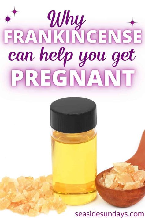 Essential Oils For Fertility, Fertility Blend, Herbs For Fertility, Frankincense Benefits, Pregnancy Spells, Fertility Spells, Help Getting Pregnant, Ways To Get Pregnant, Frankincense Resin