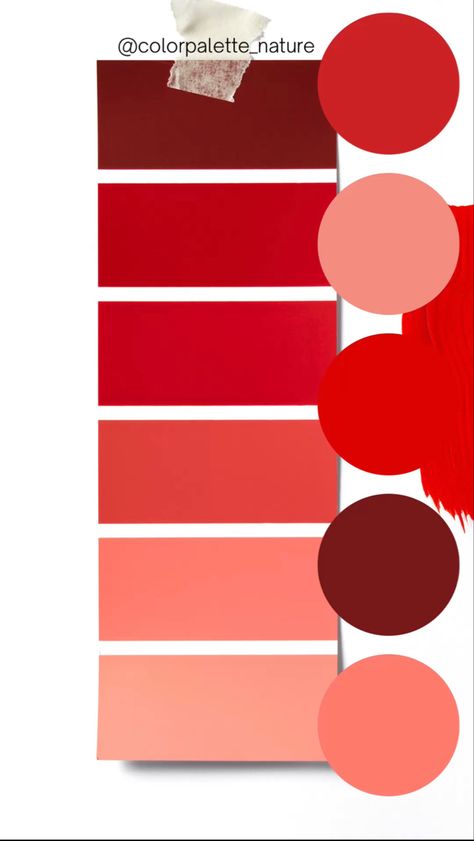 Blush Color Palette, Red Color Palette, Red Blush, Pastry Shop, Blush Color, Color Combination, Interior Decor, Color Palettes, Color Combos